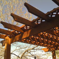 Pergola