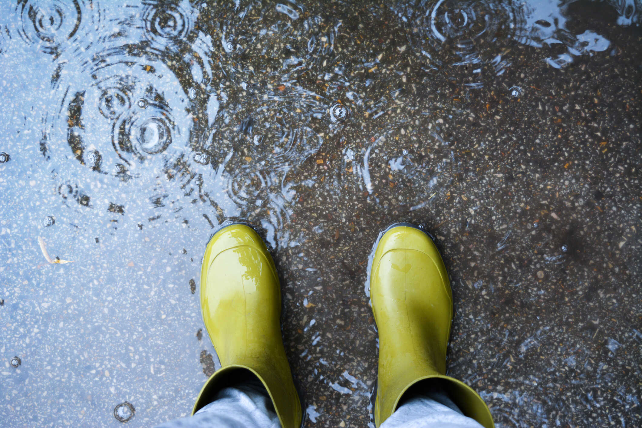 Využijte chytře dešťovou vodu: Na zalévání i praní. Pomůže vám k tomu dotace Dešťovka
